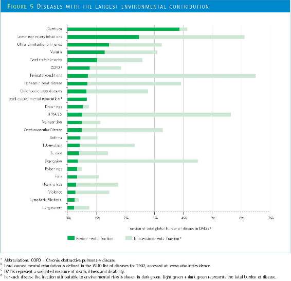 Diseases that Environmental Conditions Influence Most