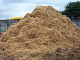 A pile of coir extracted from used coconuts