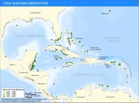 Coral Bleaching Observed