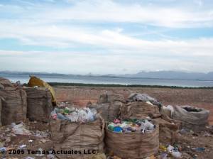 catadores' sacks of recovered wastes awaiting pick up