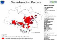 Deforestation overlap with cattle ranching in Brazilian Amazon, 2006 (click to enlarge)