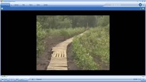 Globo video about the mangrove recovery at Gramacho