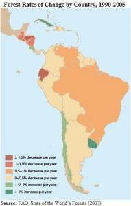 Forest Rates of Change by Country, 1990-2005 (click to enlarge)