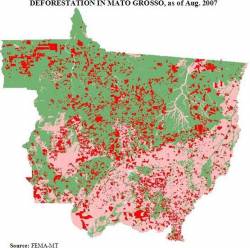 Deforestation in Mato Grosso, Aug. 2007 (click to enlarge)