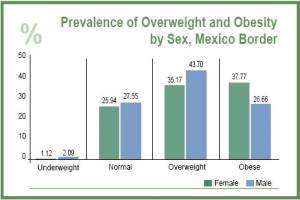 Prevalence of Overweight & Obesity Among Mexicans at the Border (click to enlarge)