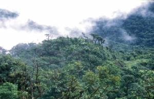 Torrijos National Park (