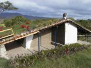 side view of Casa Ecologica with living roof