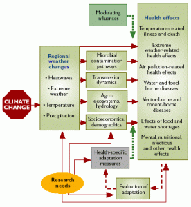 Climate change's Impacts on Health (click to enlarge)
