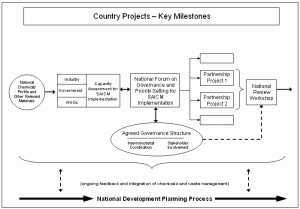 Mercury Country Pilot Project Milestones (click to enlarge)