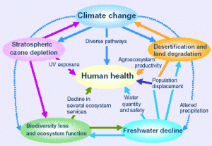 climate change and health linkages (click to enlarge)