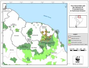 WWF map of the newly linked tropical forest preserves in the Northern Amazon